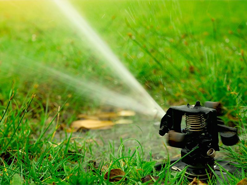 Residential sprinkler spraying water